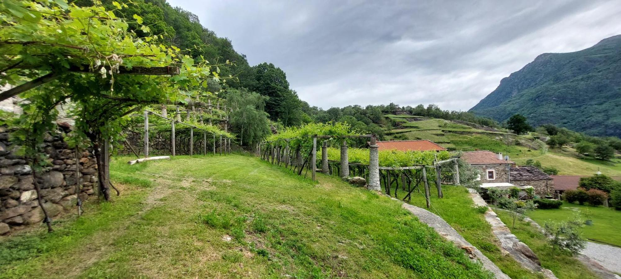 Relais del Brigante Settimo Vittone Exterior foto